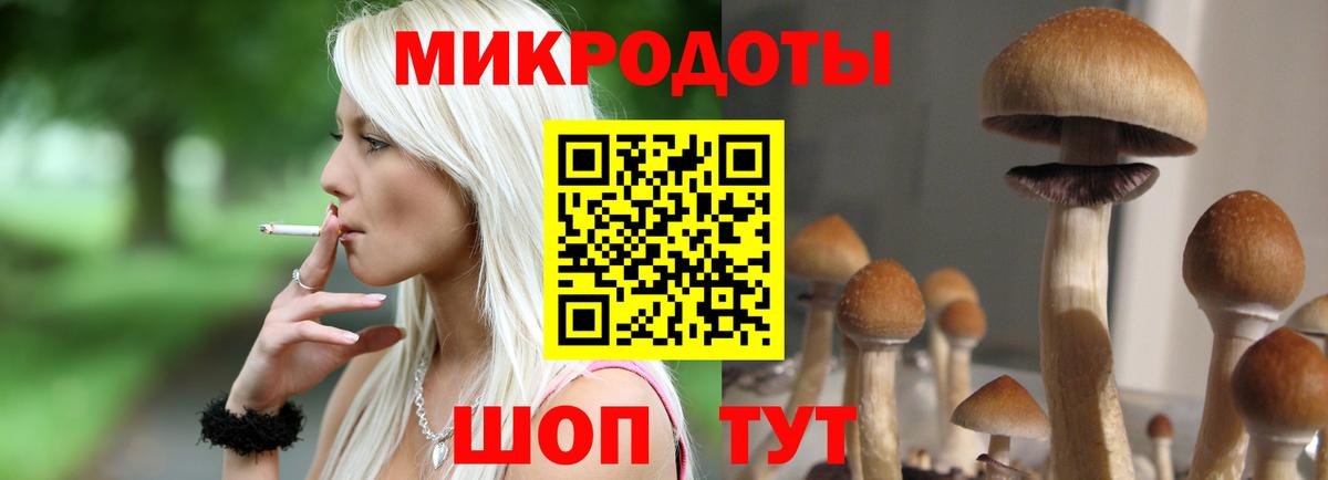Оренбург  Галлюциногенные грибы GOLDEN TEACHER  Вход с VPN 